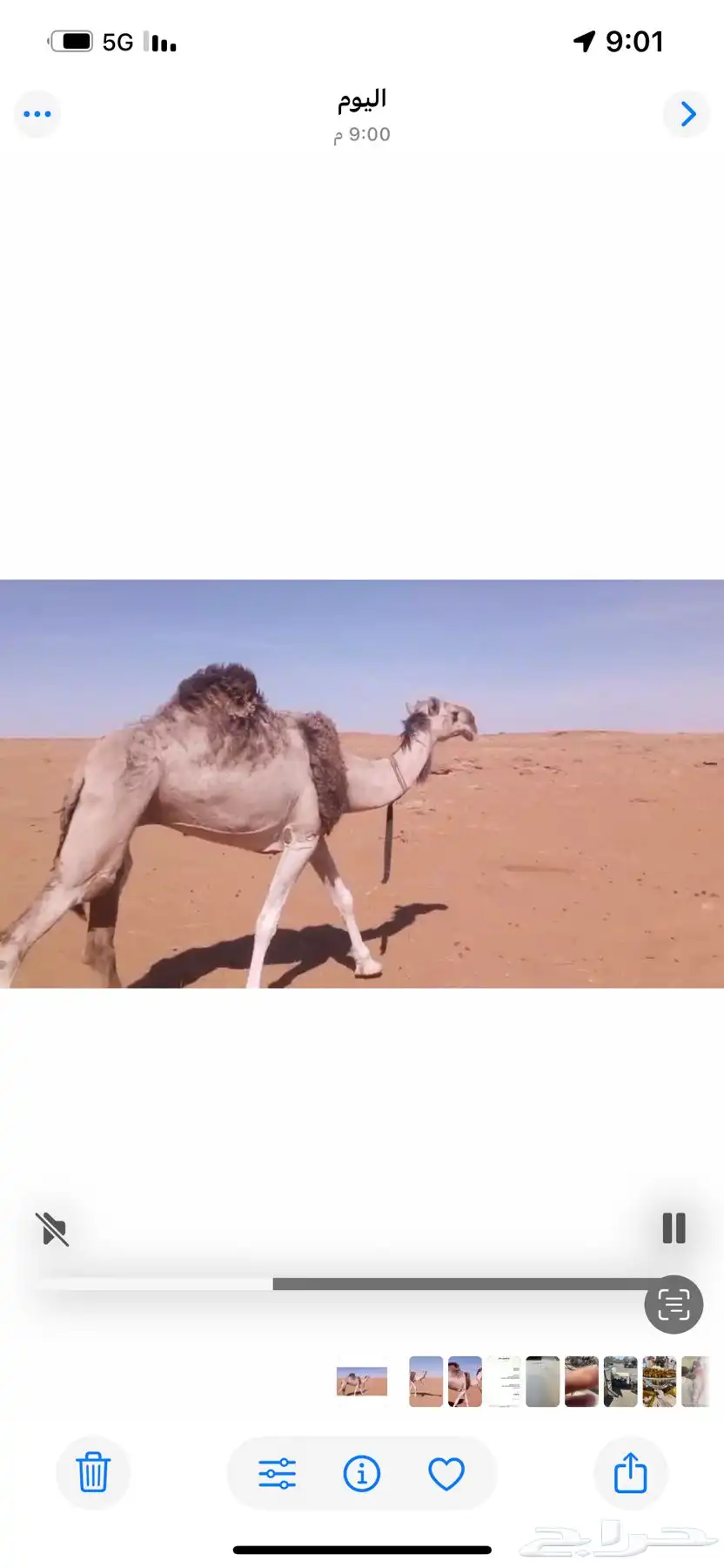 مقابل مركز العروسي الخنفر 3