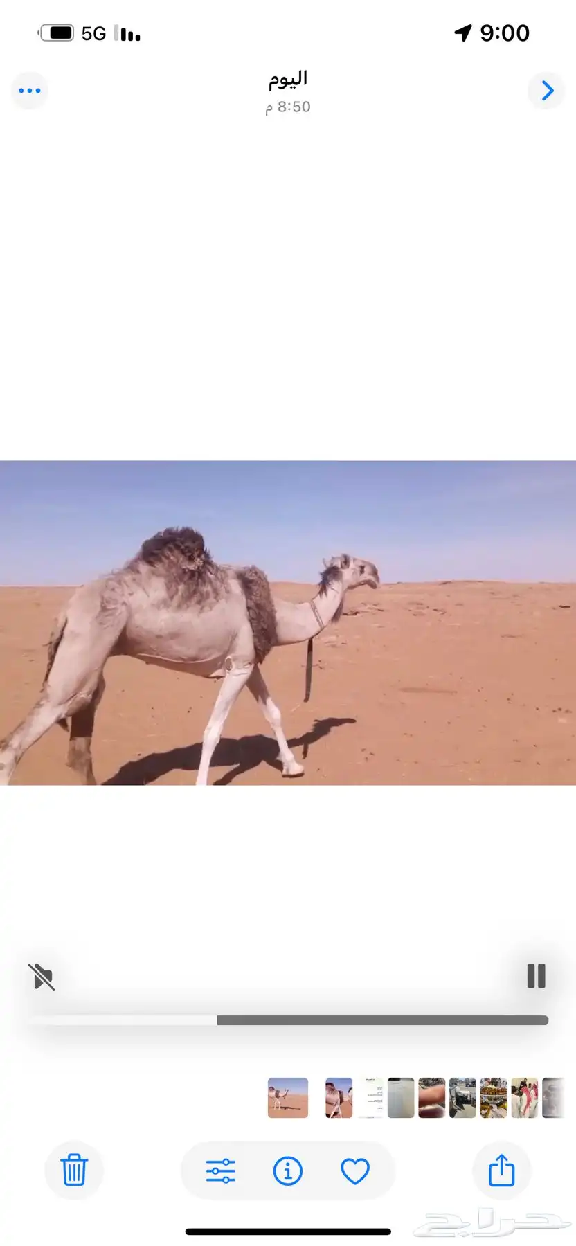 مقابل مركز العروسي الخنفر 2