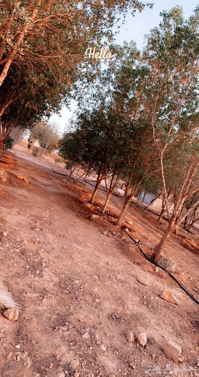 الايجار 0