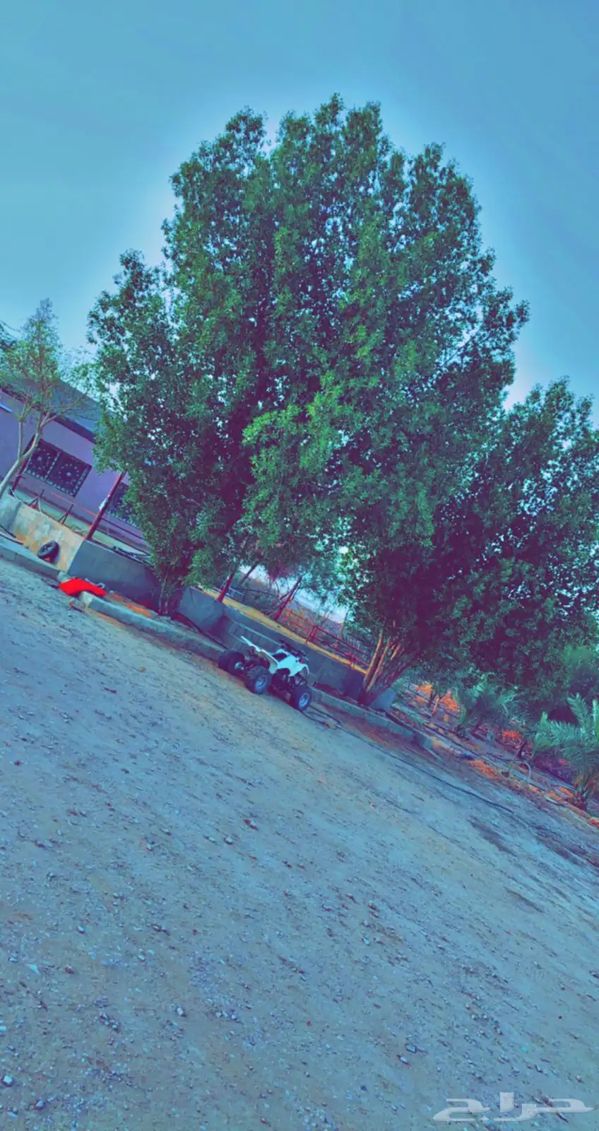 الايجار 2