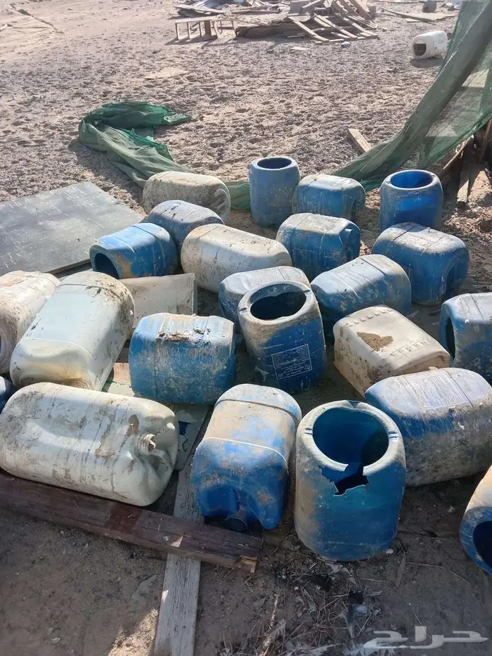 جراكل طيور حمام مقصوص وجاهز 0