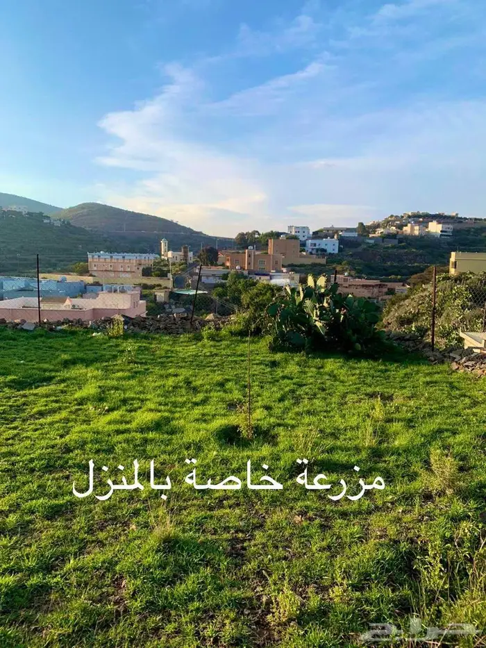 منزل ريفي للايجار على طريق السودة 20