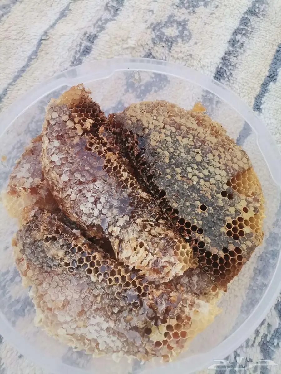 عسل طلح 3