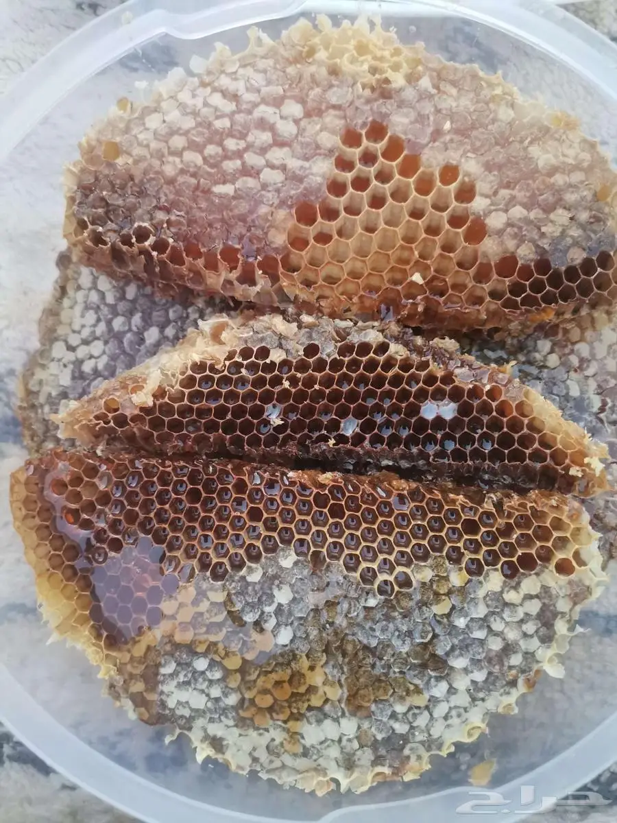 عسل طلح 1