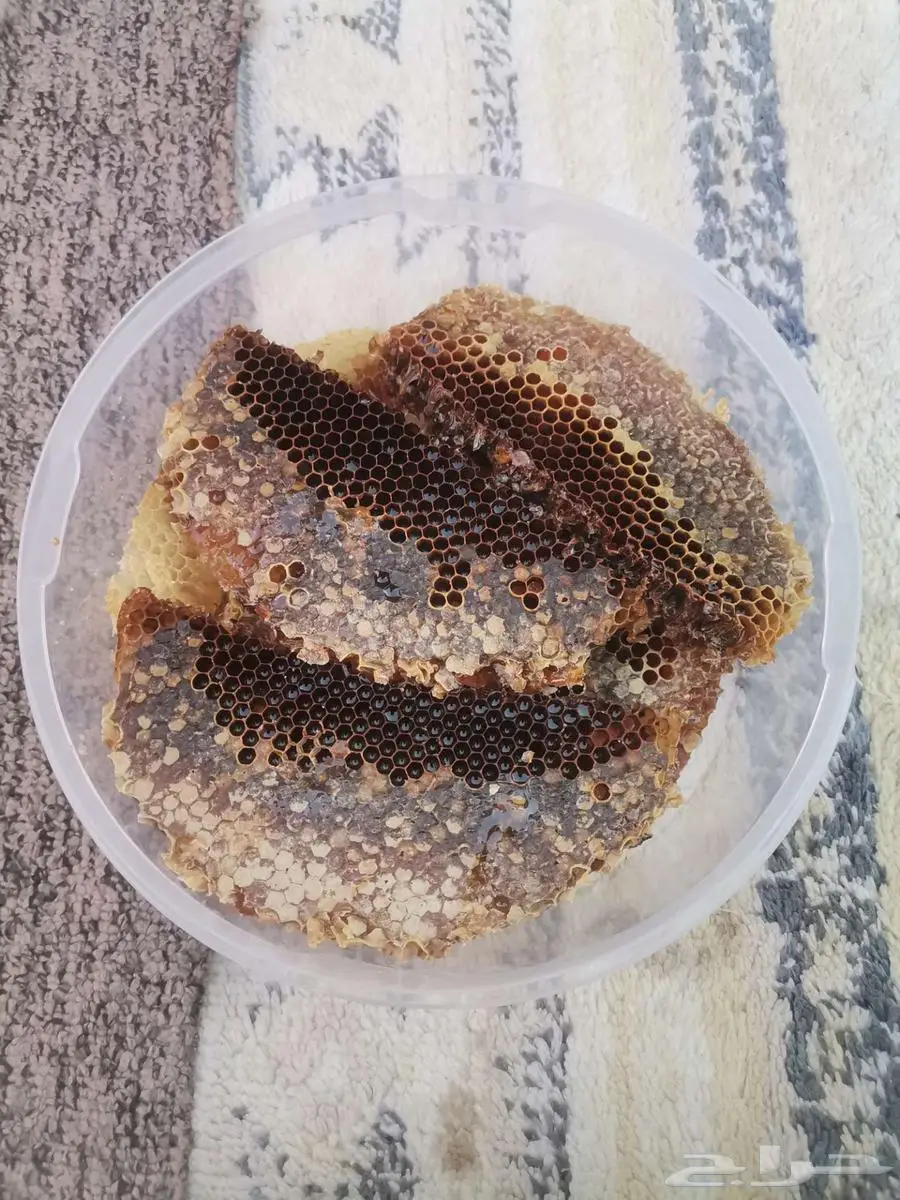 عسل طلح 0