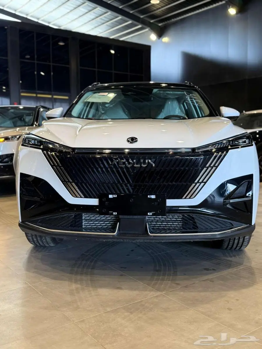 دونج فينج ميج 2025 3