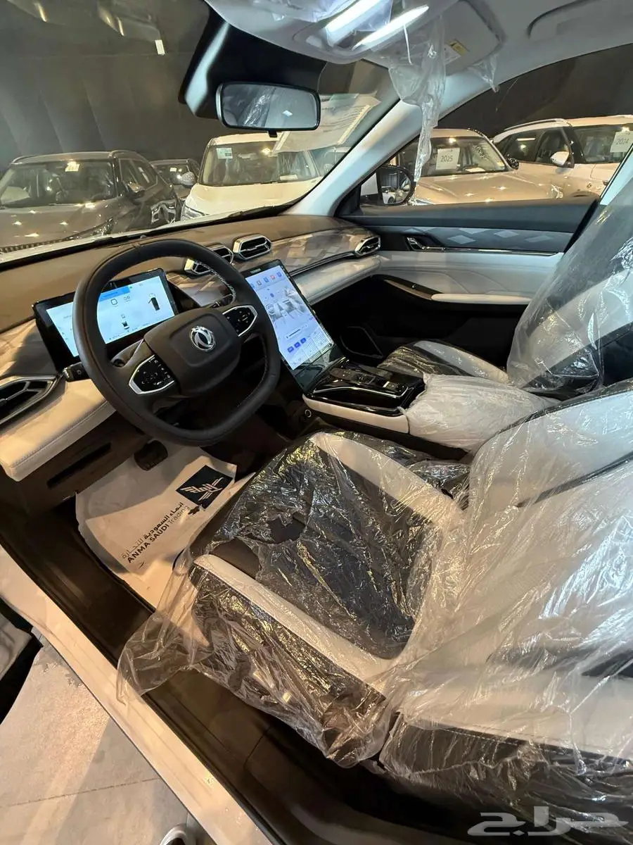 دونج فينج ميج 2025 9