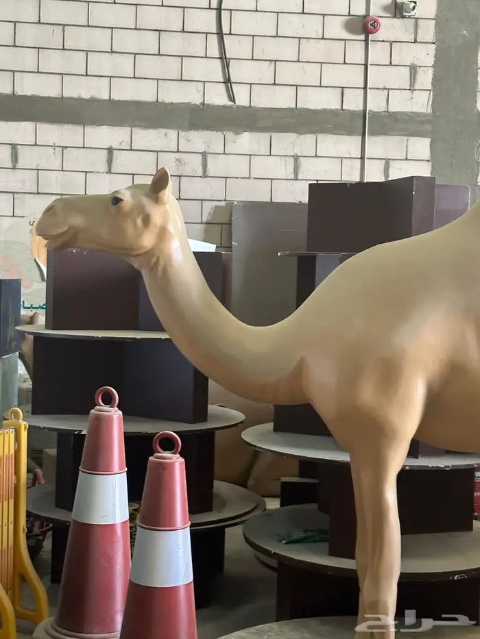 مجسم جمل حجم كبير 1