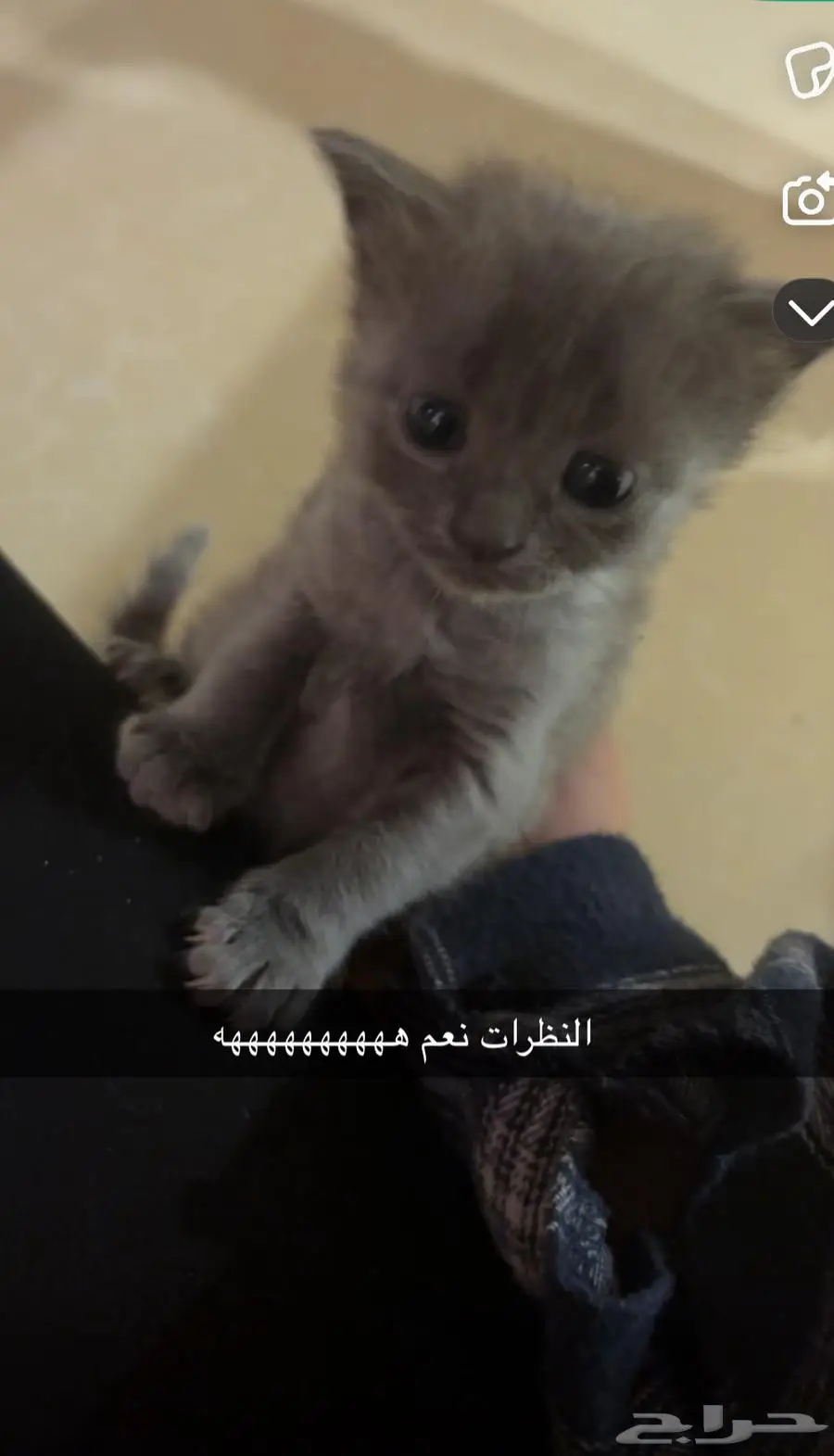 المزاحميه 3