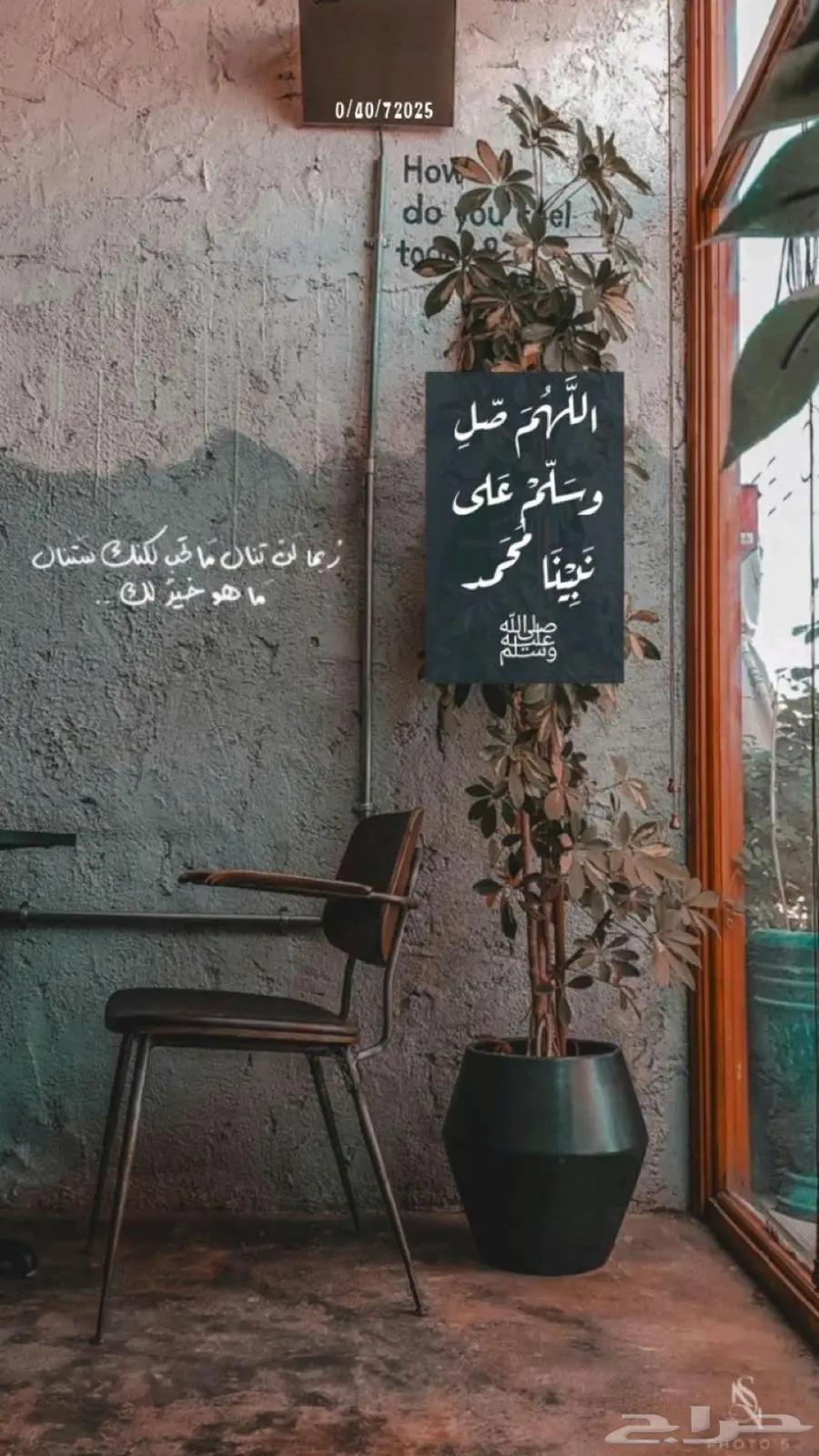 مطلوب شقه للايجار 0