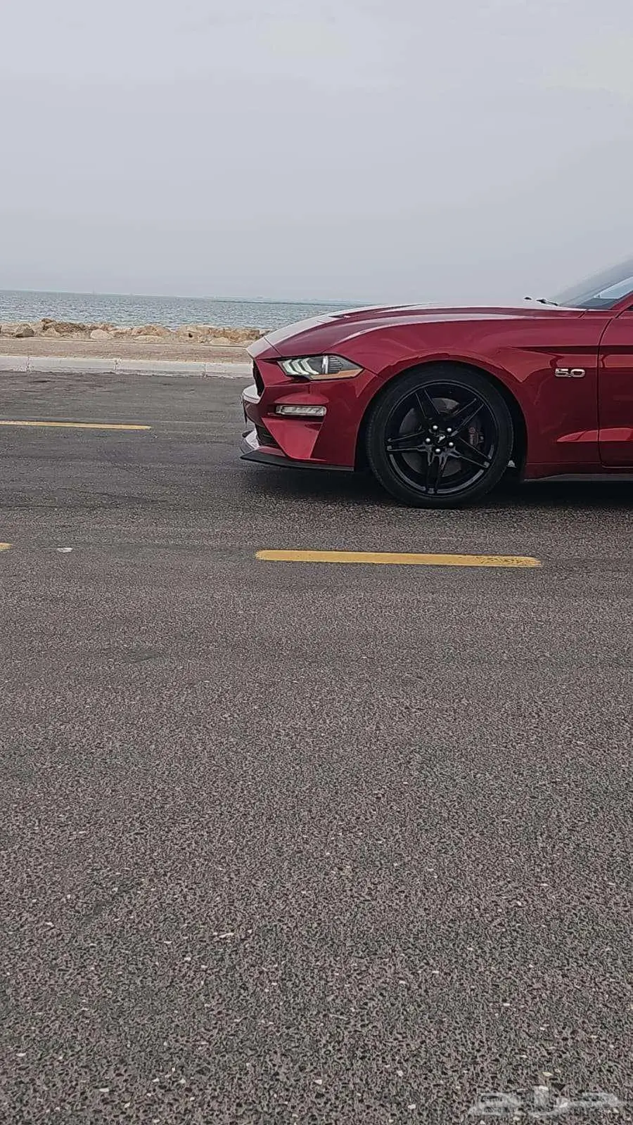 موستنج كشف 2020 اصدار 55 4