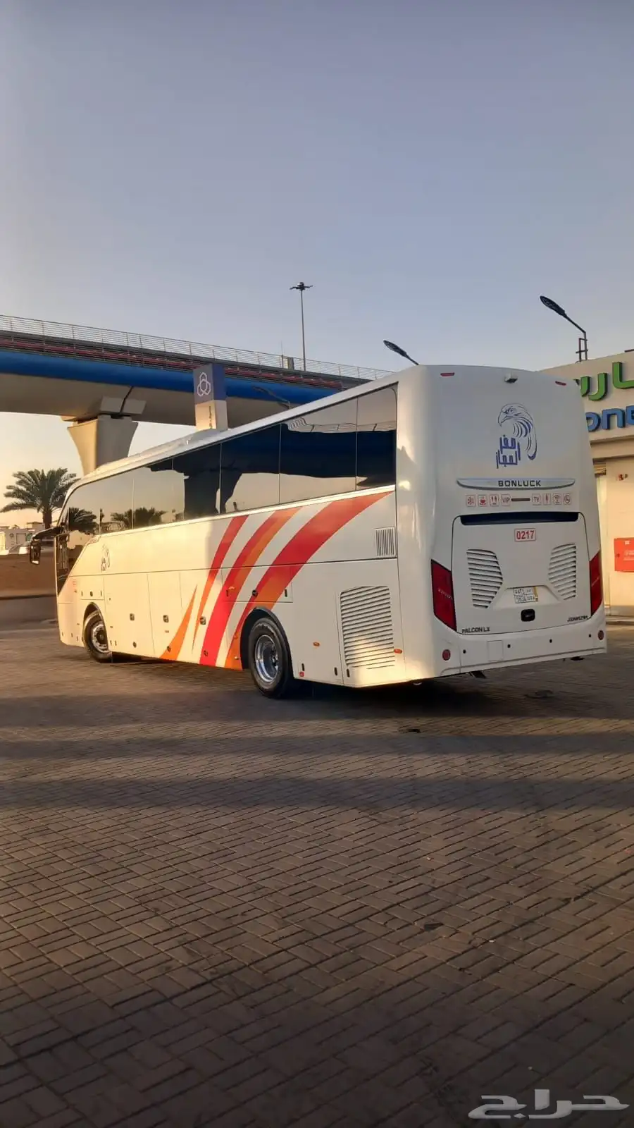 باص للايجار 51 راكب 3