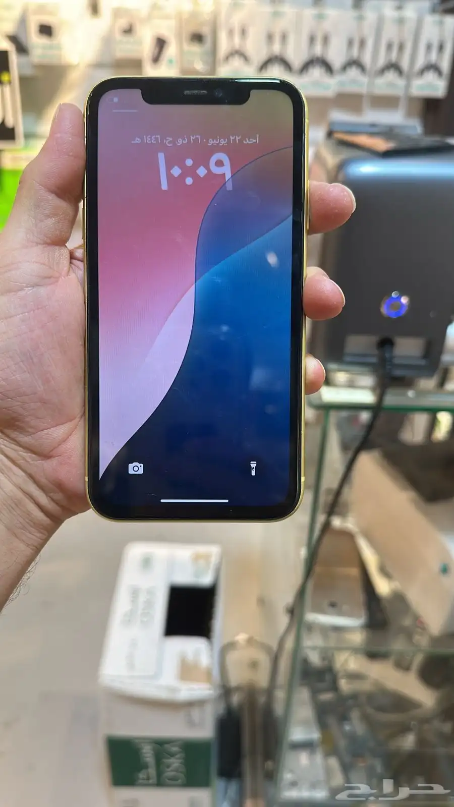 ايفون 11 العادي 1