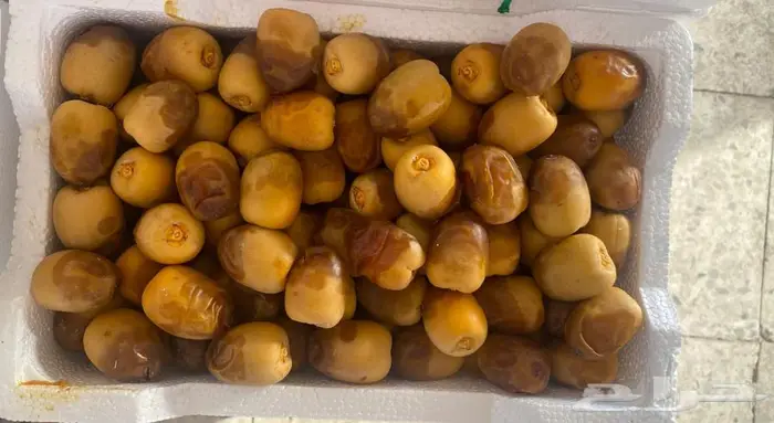 روثانة وبرني 0