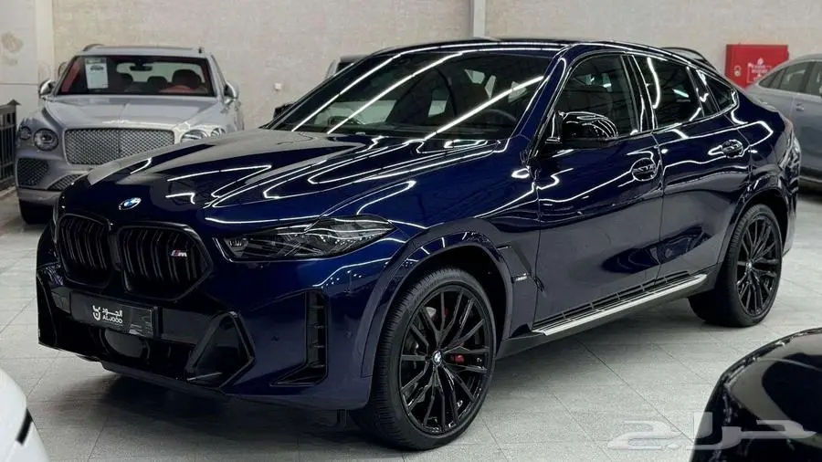 2024 بي ام دبليو اكس6 BMW X6 M60i 5