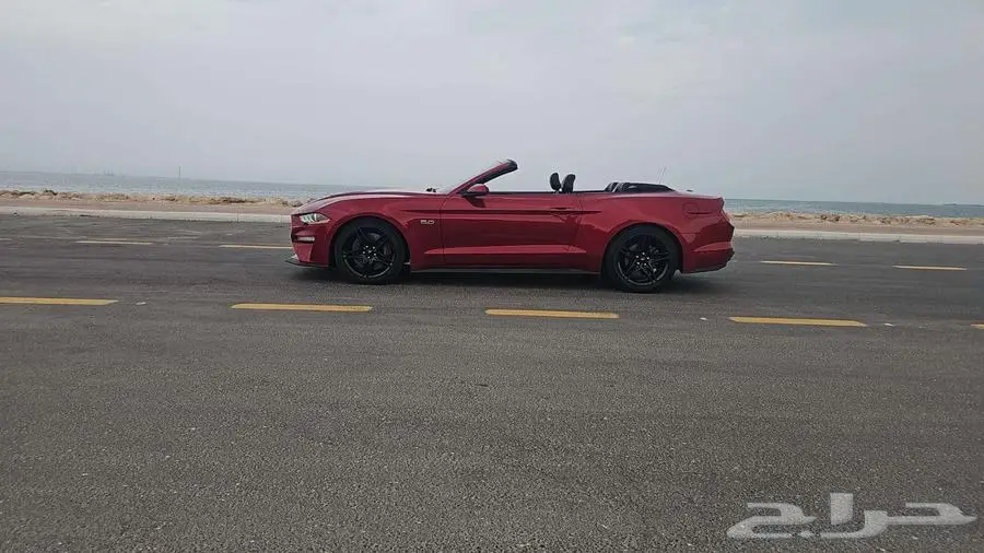 موستنج كشف 2020 اصدار 55 5