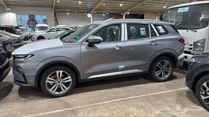 فورد تيريتوري جميع الفئات 2025 8