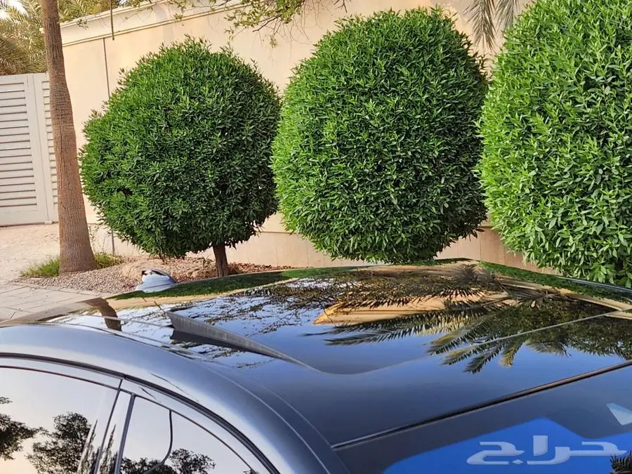 بي ام 2017 750 فل V8 21