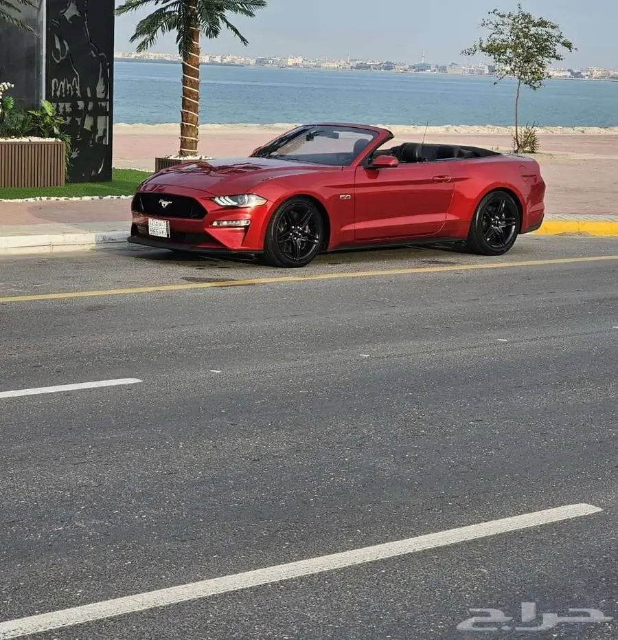 موستنج كشف 2020 اصدار 55 2