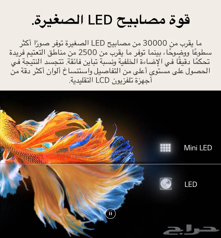 شاشة فاخرة LG 8k 65 بوصة بنصف السعر 7