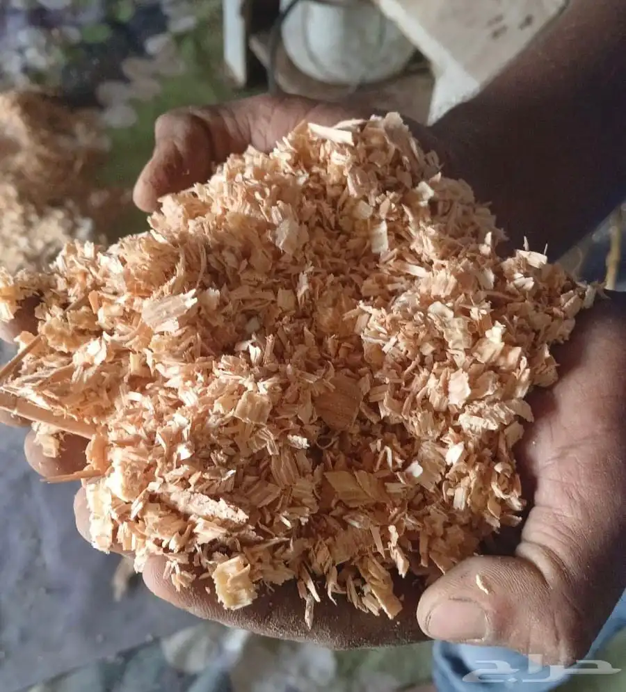 نشارة خشب ( wood shavings ) 1