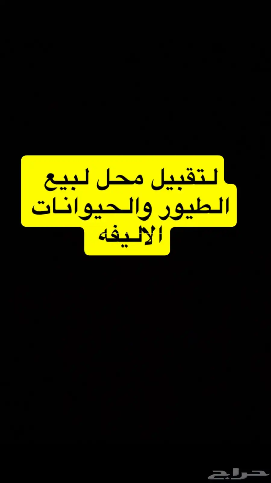 محل طيور لتقبيل 0