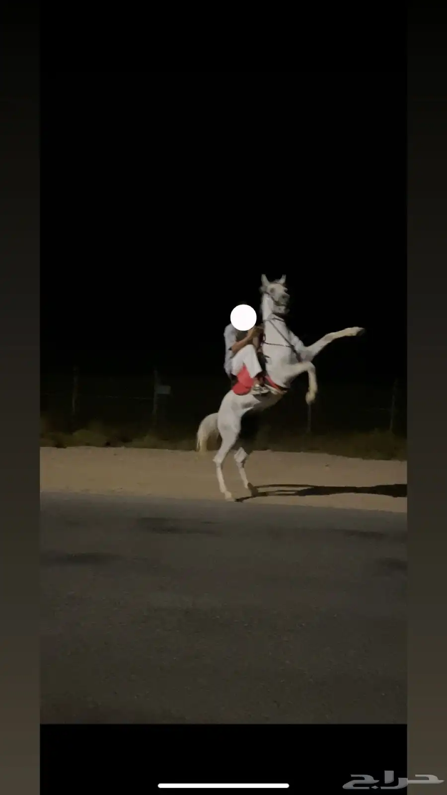 خيل واهو 0