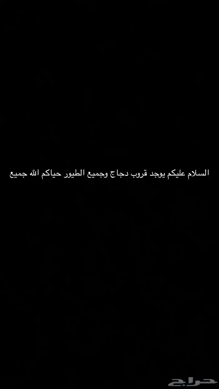 دجاج 0