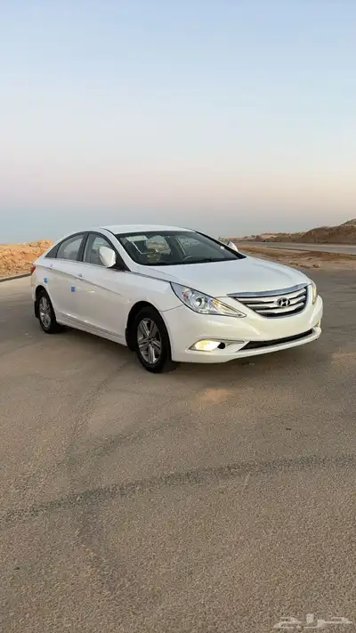 سوناتا مجدوعي 2014 1