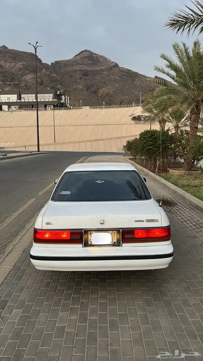 كرسيدا للبيع 6