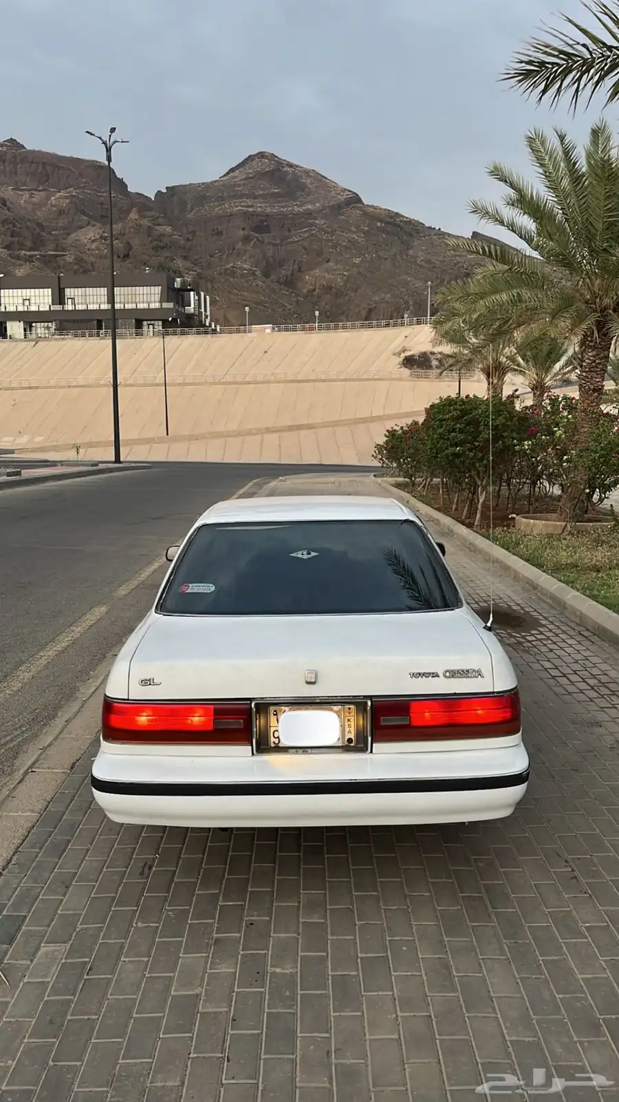 كرسيدا للبيع 6