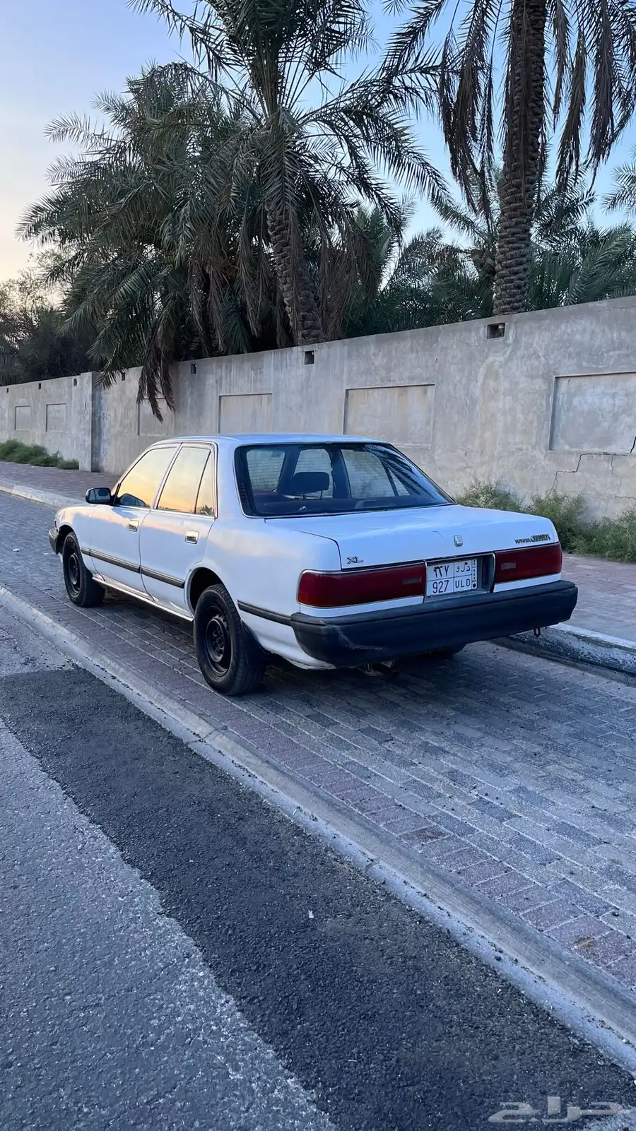 كرسيدا 3