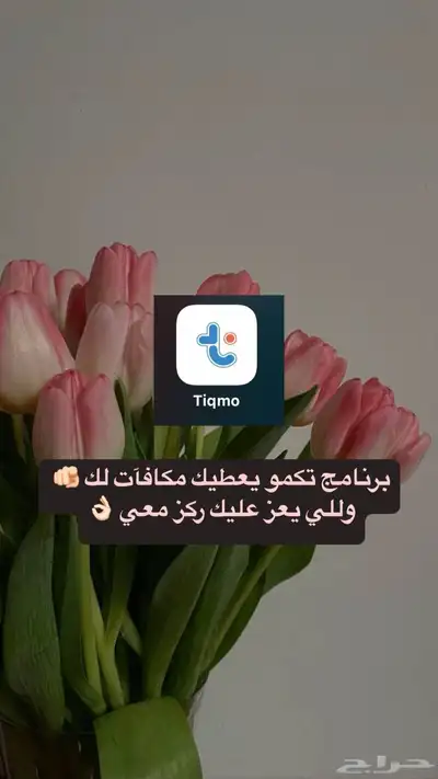 الحقوا حملو التطبيق 0