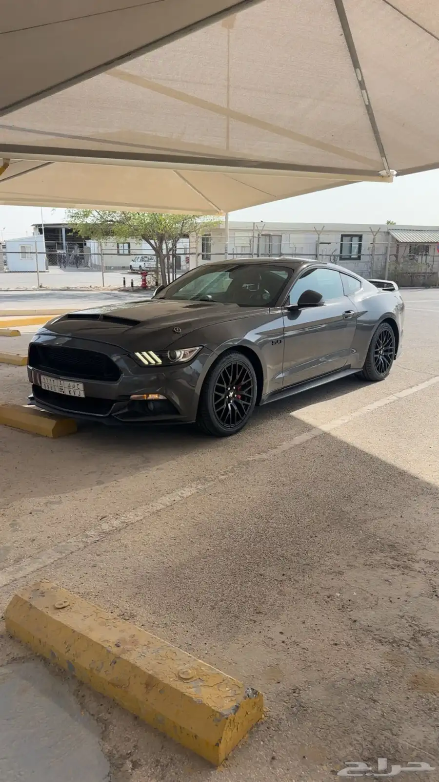 فورد موستنج 2016 GT 0
