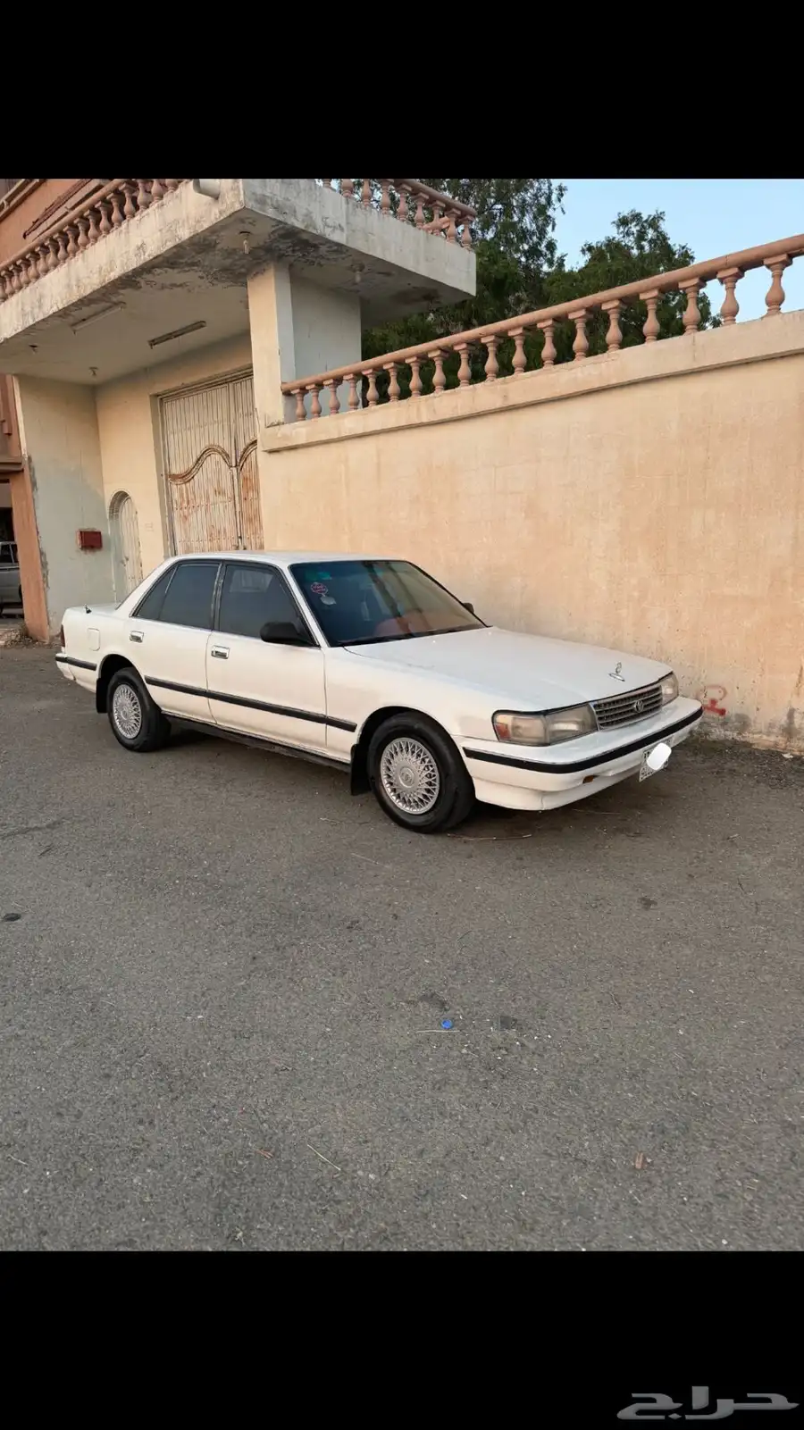 كرسيدا للبيع 1
