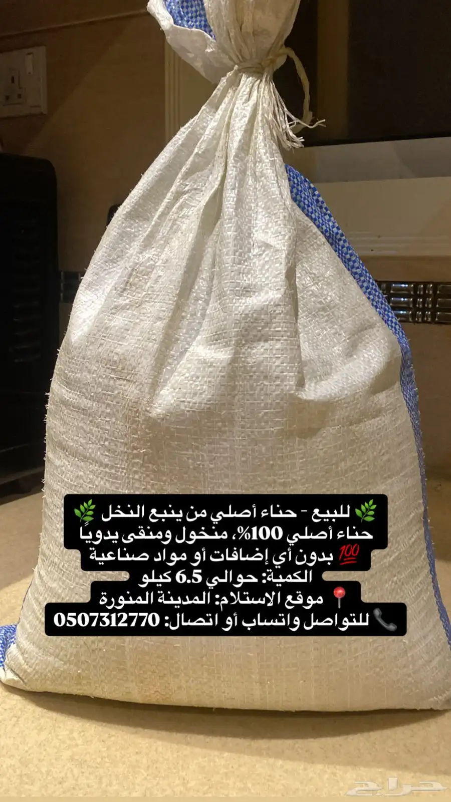 حناء ينبع النخل 0