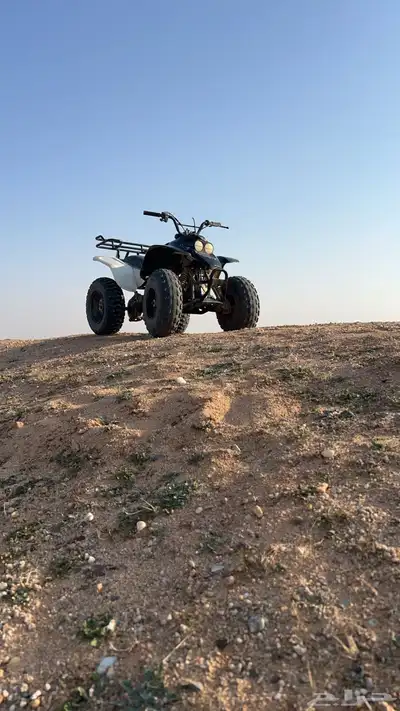 دبابات نطيف 1