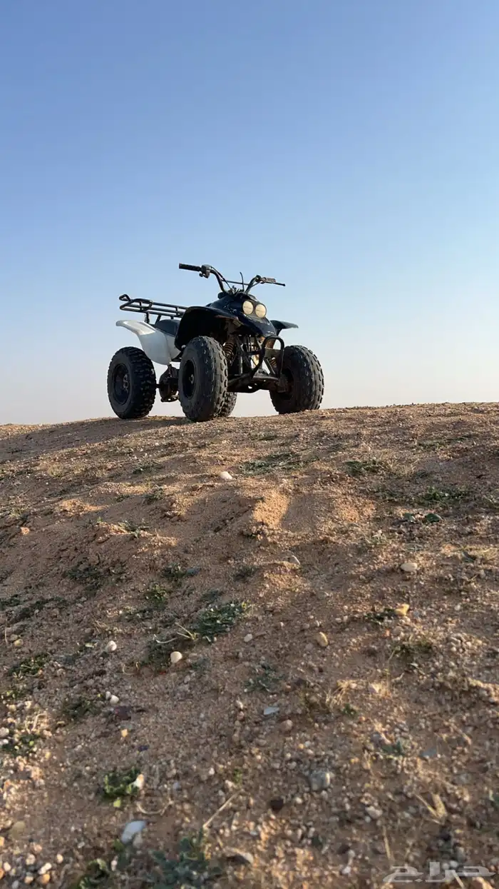 دبابات نطيف 1