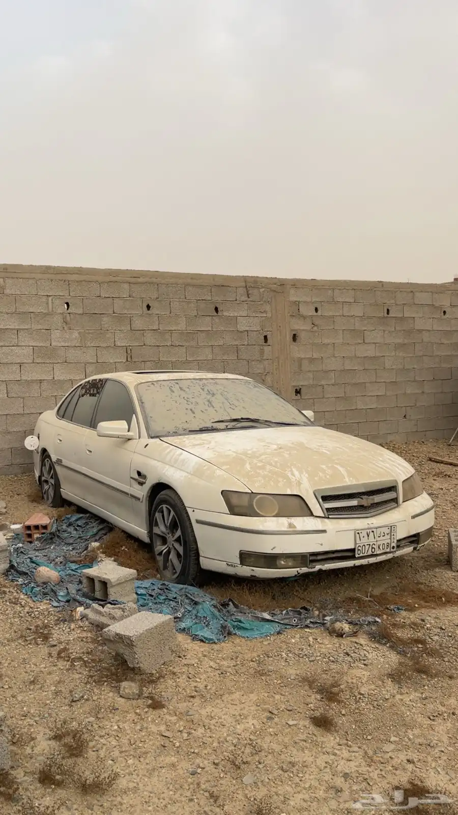 كابرس 2004 م 1