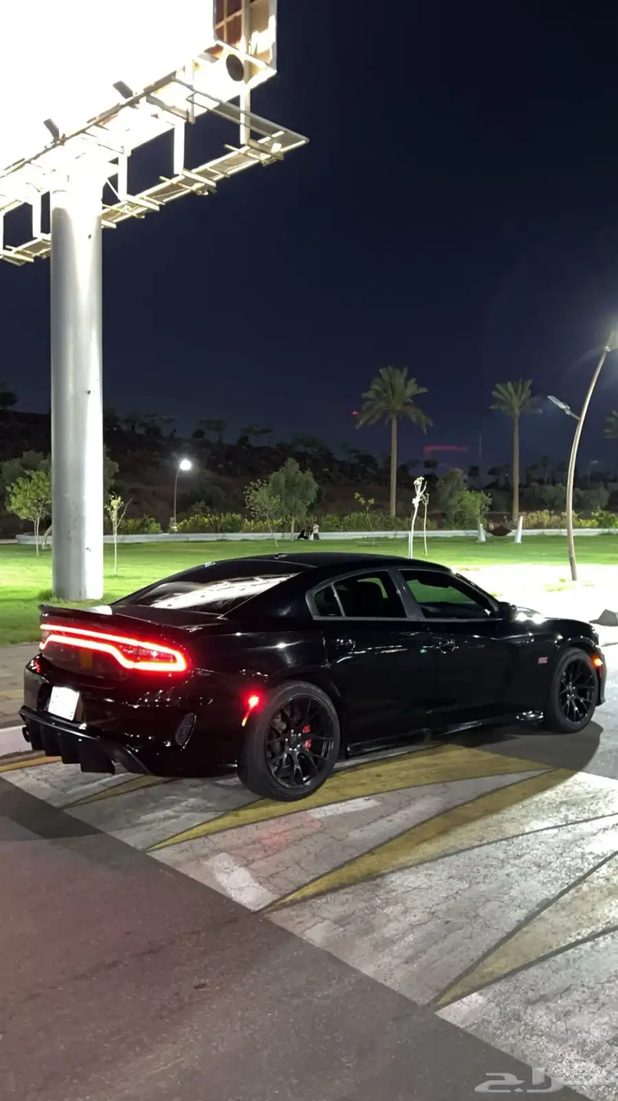 تشارجر RT 8V 2018 0