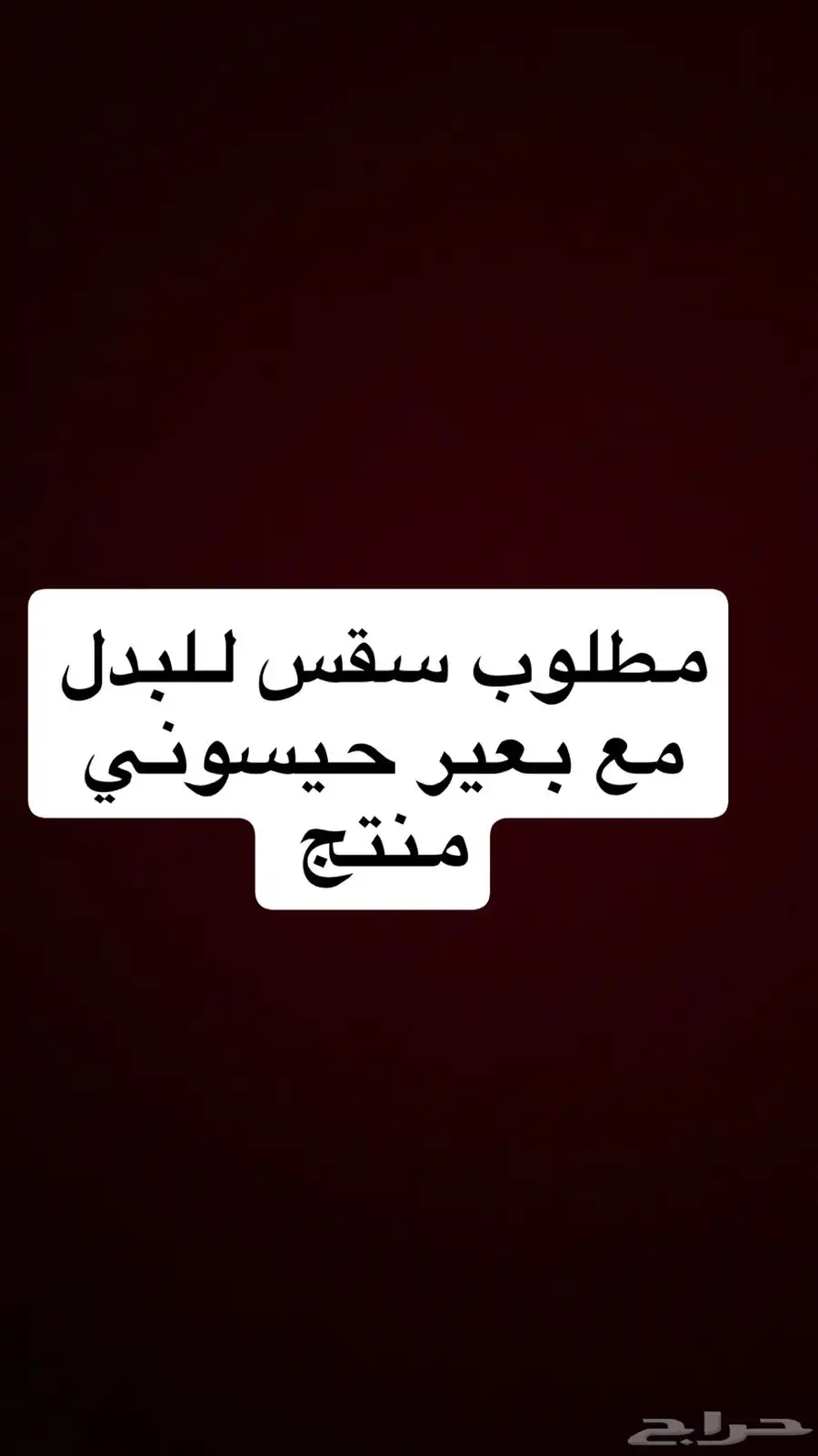 سقس راس 0