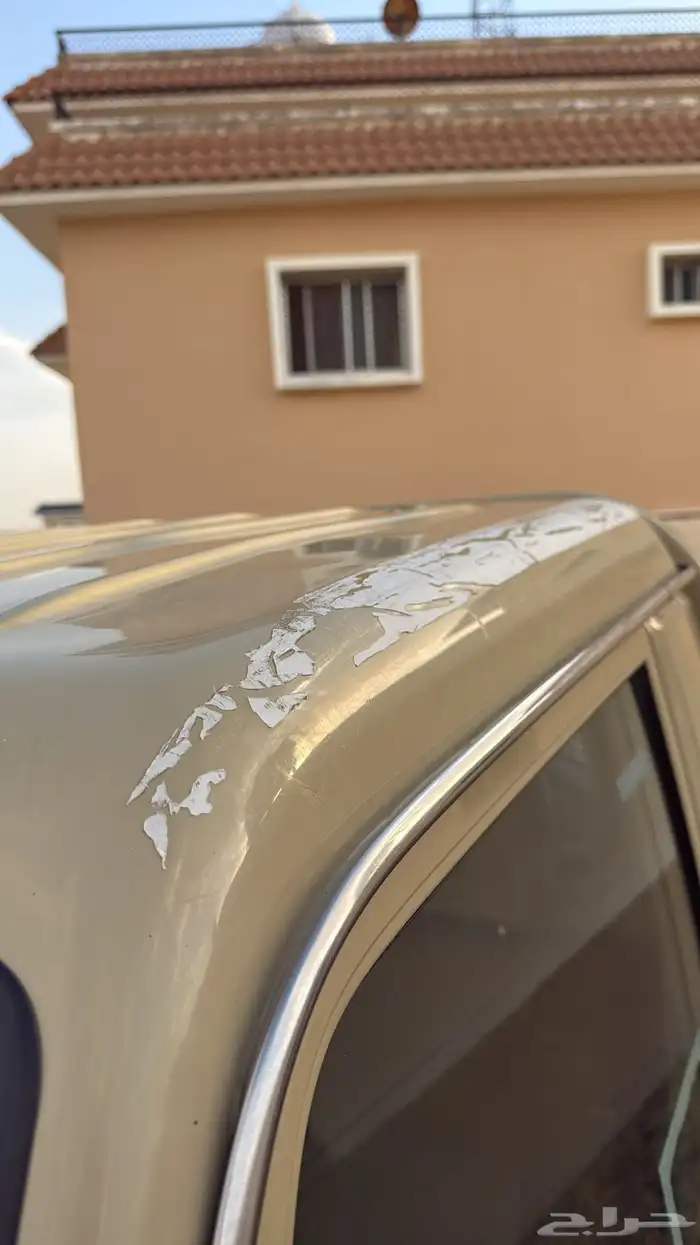 شاص 2019 نص فل دفلك بدون ونش 13