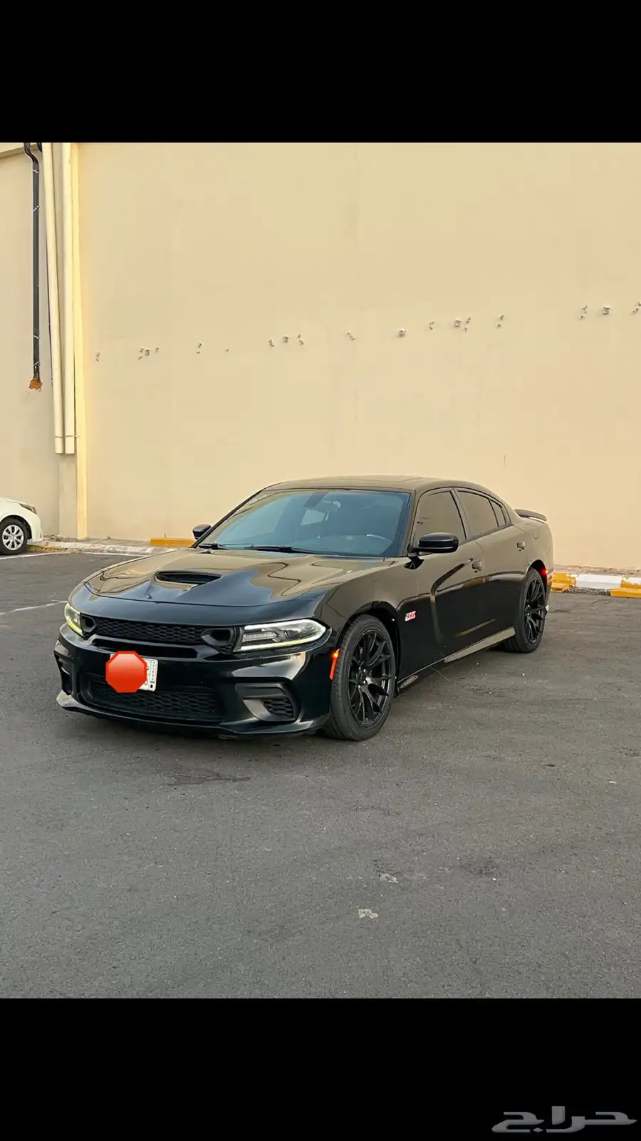 تشارجر RT 8V 2018 2
