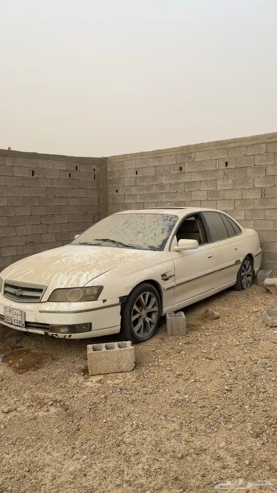 كابرس 2004 م 0
