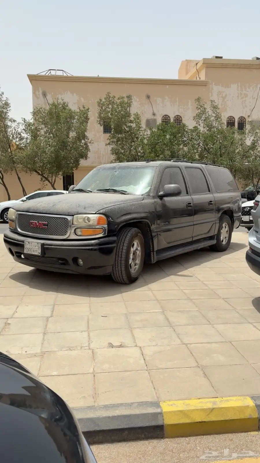دينالي 2006 11