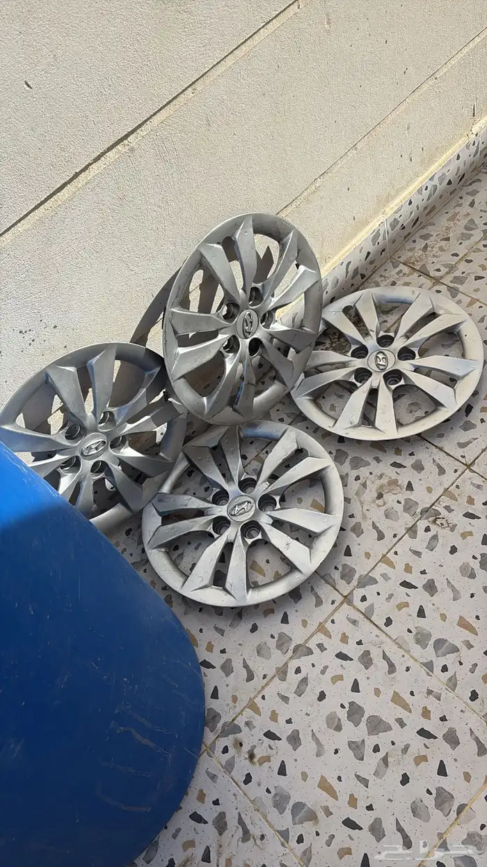 جنوط سوح 1