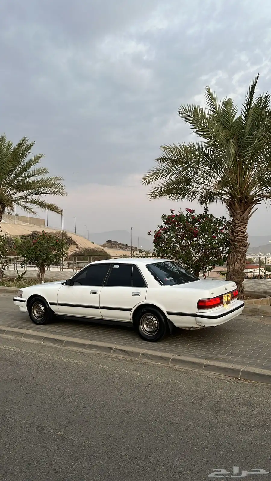 كرسيدا للبيع 7