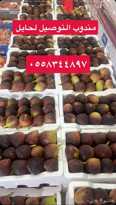 منودب تين طازج مرزعه منيف عبدالله الدحل. 0