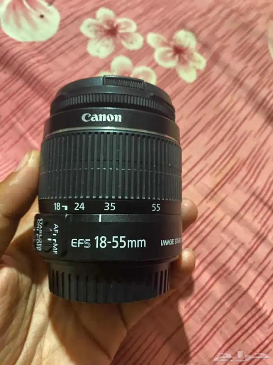 canon 6