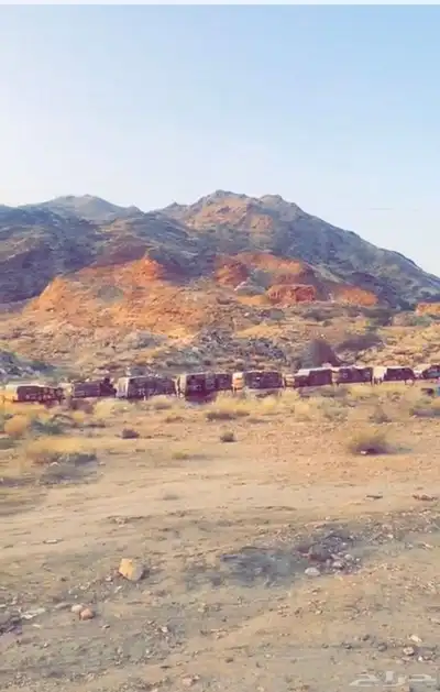 عسل جبلي صافي جديد من منحلي شخصيا 13